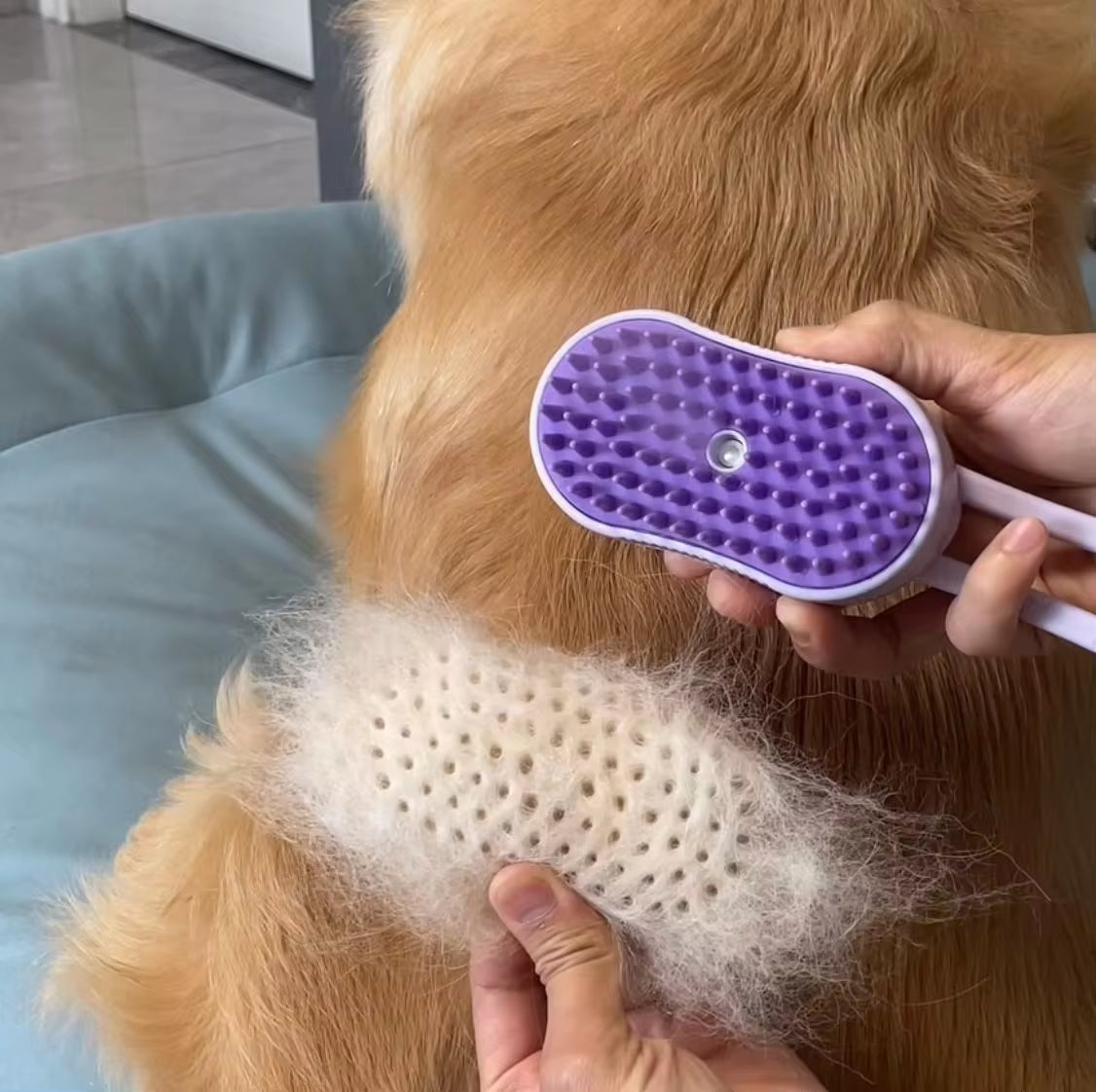 Petspa